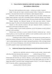 Maisto technologijos referatas apie pieną 18 puslapis