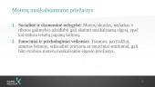 Nusikalstamo elgesio grupuotės 13 puslapis