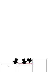 Siera. Jos junginiai 11 puslapis