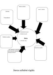 Siera. Jos junginiai 9 puslapis