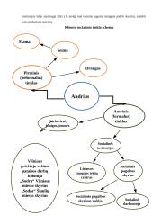 Kliento socialinio tinklo tyrimo ir mobilizavimo aprašas (Savarankiškas darbas) 2 puslapis