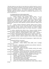 Geras pasiruošimas administracinės teisės egzaminui 5 puslapis
