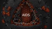 AIDS. Skaidrės biologijai