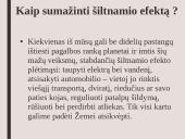 Skaidrės. Šiltnamio efektas 10 puslapis