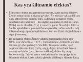 Skaidrės. Šiltnamio efektas 2 puslapis