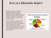 Skaidrės. Šiltnamio efektas 4 puslapis