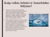 Skaidrės. Šiltnamio efektas 5 puslapis