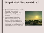 Skaidrės. Šiltnamio efektas 6 puslapis