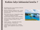 Skaidrės. Šiltnamio efektas 7 puslapis