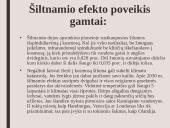 Skaidrės. Šiltnamio efektas 8 puslapis