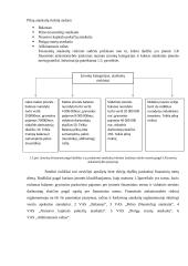 Finansinė apskaita ir mokesčiai: kursinis 11 puslapis