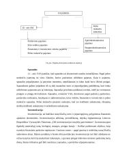 Finansinė apskaita ir mokesčiai: kursinis 15 puslapis