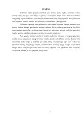 Šeimos ugdomosios funkcijos ir vertybės 2 puslapis