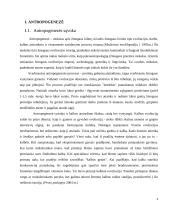 Antropogenezė ir svarbesnieji žmogaus evoliucinės psichologijos aspektai 3 puslapis