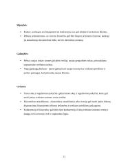 Sveikatos turizmas 10 puslapis