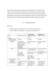 Sveikatos turizmas 8 puslapis