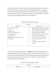 Afrikos virtuvės pristatymas 6 puslapis