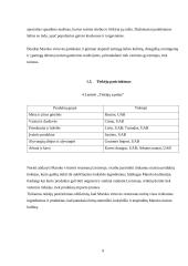 Afrikos virtuvės pristatymas 8 puslapis