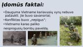 Vietnamo karas. Pristatymas 8 puslapis