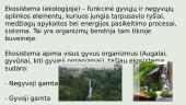 Žmogaus veiklos  įtaka ekosistemoms 2 puslapis