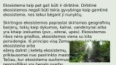 Žmogaus veiklos  įtaka ekosistemoms 4 puslapis