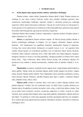 Pašarų daromos įtakos kačių šlapimo takų akmenligei analizė 5 puslapis