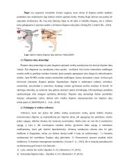 Pašarų daromos įtakos kačių šlapimo takų akmenligei analizė 6 puslapis