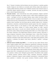 Ūkinių gyvūnų slauga. Profesinės veiklos praktikos ataskaita 6 puslapis