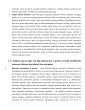 Ūkinių gyvūnų slauga. Profesinės veiklos praktikos ataskaita 8 puslapis