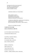 Kalėdų šventė - robotų kelionė. Scenarijus 2 puslapis