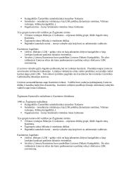 Ankstyvoji Lietuvos Didžiosios Kunigaikštystės (LDK) istorija 16 puslapis