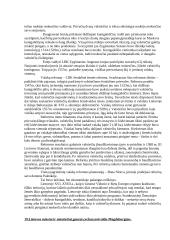 Ankstyvoji Lietuvos Didžiosios Kunigaikštystės (LDK) istorija 19 puslapis