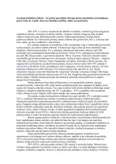 Ankstyvoji Lietuvos Didžiosios Kunigaikštystės (LDK) istorija 20 puslapis