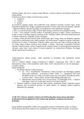 Ankstyvoji Lietuvos Didžiosios Kunigaikštystės (LDK) istorija 3 puslapis