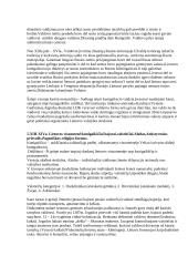 Ankstyvoji Lietuvos Didžiosios Kunigaikštystės (LDK) istorija 4 puslapis