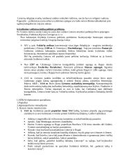 Ankstyvoji Lietuvos Didžiosios Kunigaikštystės (LDK) istorija 5 puslapis