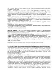 Ankstyvoji Lietuvos Didžiosios Kunigaikštystės (LDK) istorija 9 puslapis