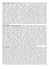 Ankstyvoji Lietuvos Didžiosios Kunigaikštystės istorija 12 puslapis