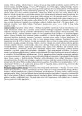 Ankstyvoji Lietuvos Didžiosios Kunigaikštystės istorija 14 puslapis