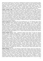 Ankstyvoji Lietuvos Didžiosios Kunigaikštystės istorija 3 puslapis