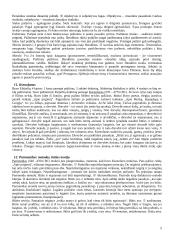 Antika ir filosofija 5 puslapis