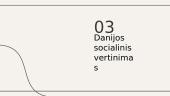 Danijos socialinis kultūrinis įvertinimas 8 puslapis
