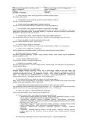 Arabai ir islamas 2 puslapis