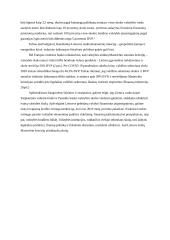 Valstybės skola ir jos valdymo politika 11 puslapis