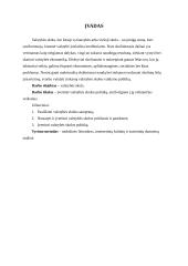 Valstybės skola ir jos valdymo politika 2 puslapis