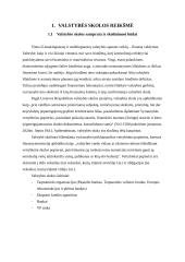 Valstybės skola ir jos valdymo politika 3 puslapis