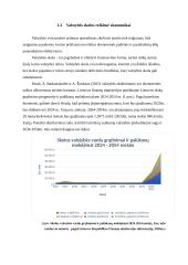 Valstybės skola ir jos valdymo politika 4 puslapis