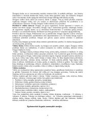 Asmenybė. Asmenybės savybės. Aš – vaizdas 9 puslapis