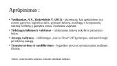 Gamybos procesai ir gamybos logistikos užduočių sritys 8 puslapis