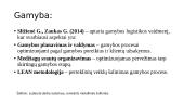 Gamybos procesai ir gamybos logistikos užduočių sritys 9 puslapis